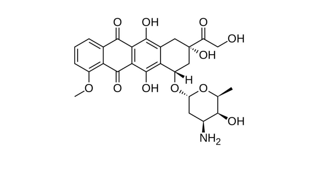 Doxorubicin is an old school, potent, effective chemotherapy drug. Veterinarians recommend doxorubicin for many forms of dog cancer.