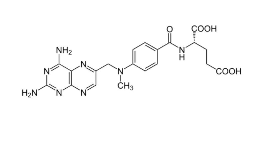 veterinarians often use methotrexate for dogs with leukemia and lymphoma