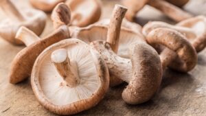 You can use shiitake mushrooms for dogs with cancer, giving them as a supplement or in food.