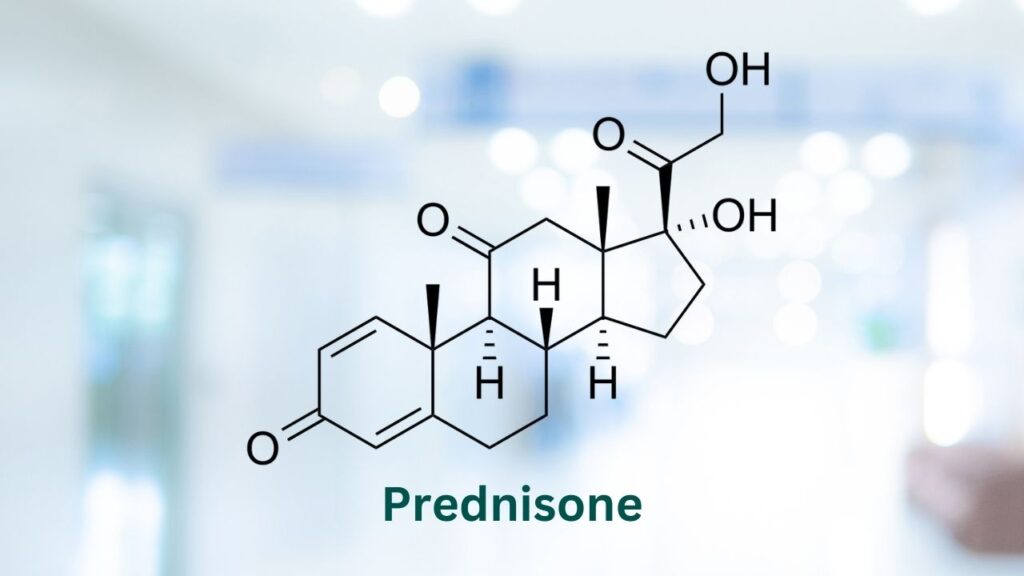 Prednisone for Dogs (Prednisolone)