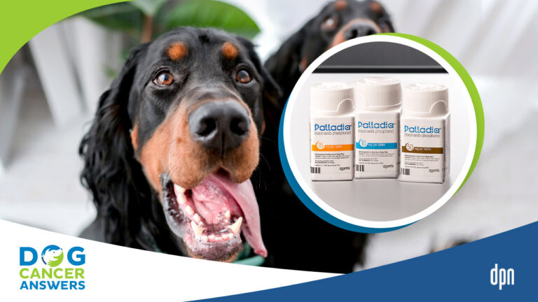 Palladia for Dogs (toceranib phosphate)