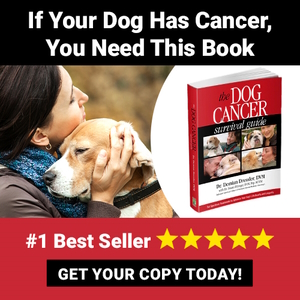 Advertisement for The Dog Cancer Survival Guide from Maui Media