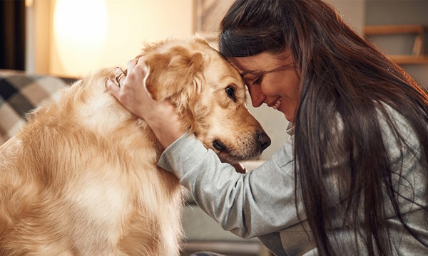 Dog and Woman Face to Face