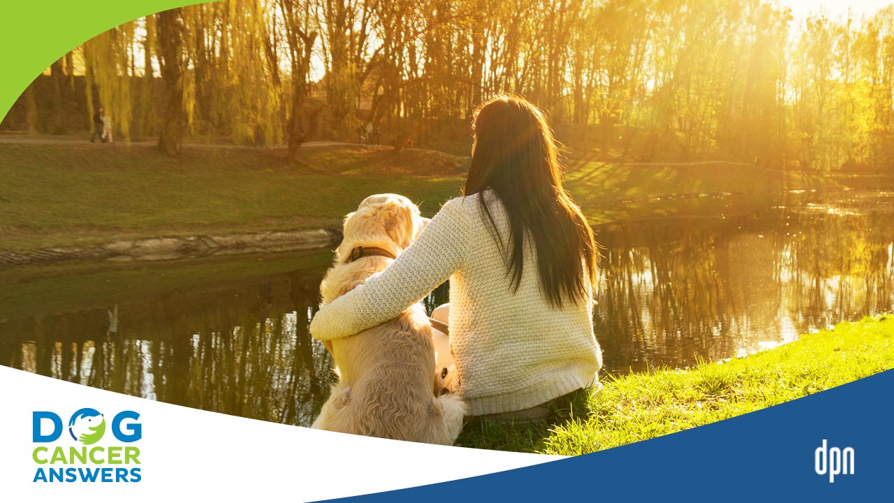 Your Dog Cancer Story