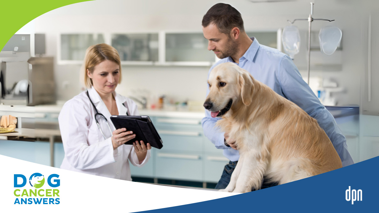 Get the Most Out of Your Vet Oncologist Visit