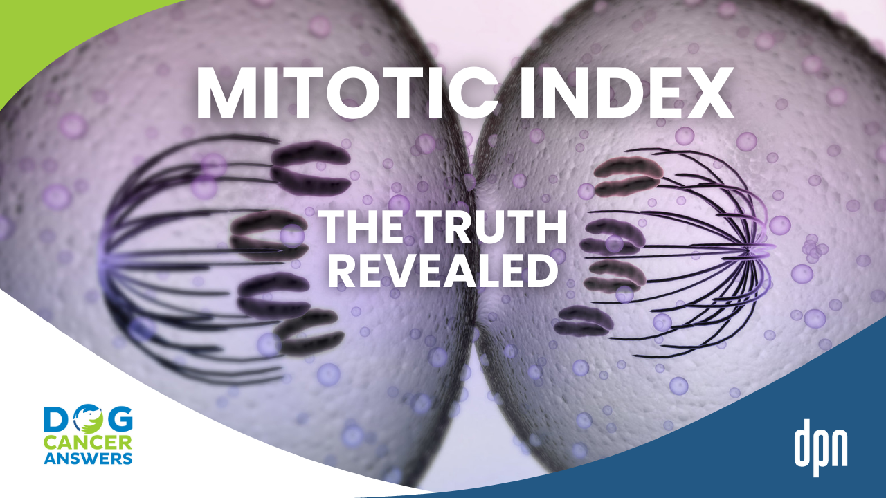 Aggressive Dog Tumor? How Mitotic Index Reveals the Hidden Truth | Dr