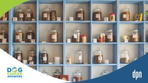Chinese Herbs & More Integrative Vet Gives Supplement Advice with Dr. Jessica Tartof