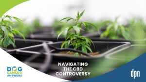 What Does CBD Do for Dogs This Cannabis Researcher Navigates the Controversy with Dr. Narda Robinson