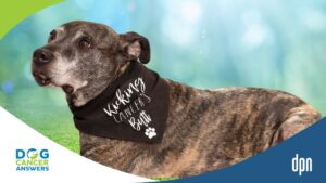 Dog Cancer Success Story Dunbar's Triumph Over Lung Cancer with Dr. Katie Berlin and Tara Diehl