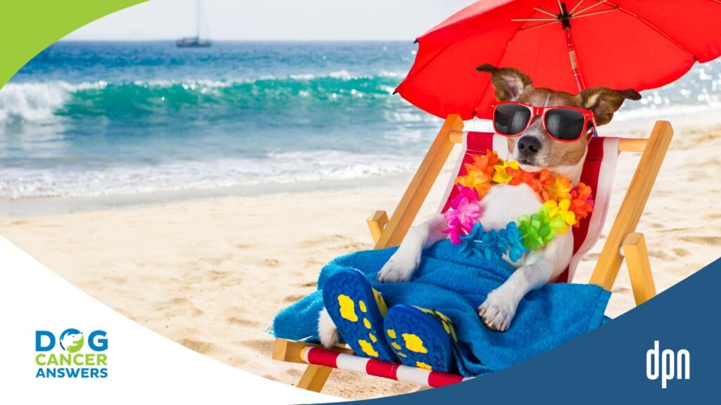 Skin Cancer in Dogs: Cutaneous Hemangiosarcoma Recurrence, Risks, and Treatments with Dr. Brooke Britton