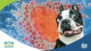 Mast Cell Degranulation: Life-Saving Insights for Dog Lovers Facing Mast Cell Tumors with Dr. Brooke Britton