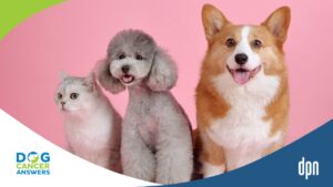 Lost Pets, Free Vaccines, and Cancer Research: Petco Love's Game-Changing Initiatives with Susanne Kogut