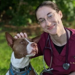 A veterinarian giving her dog head scratches
