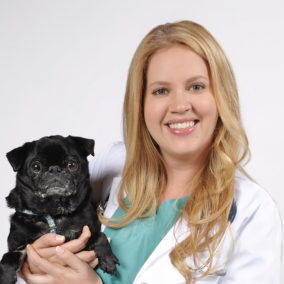 A female veterinarian holding her black Pug